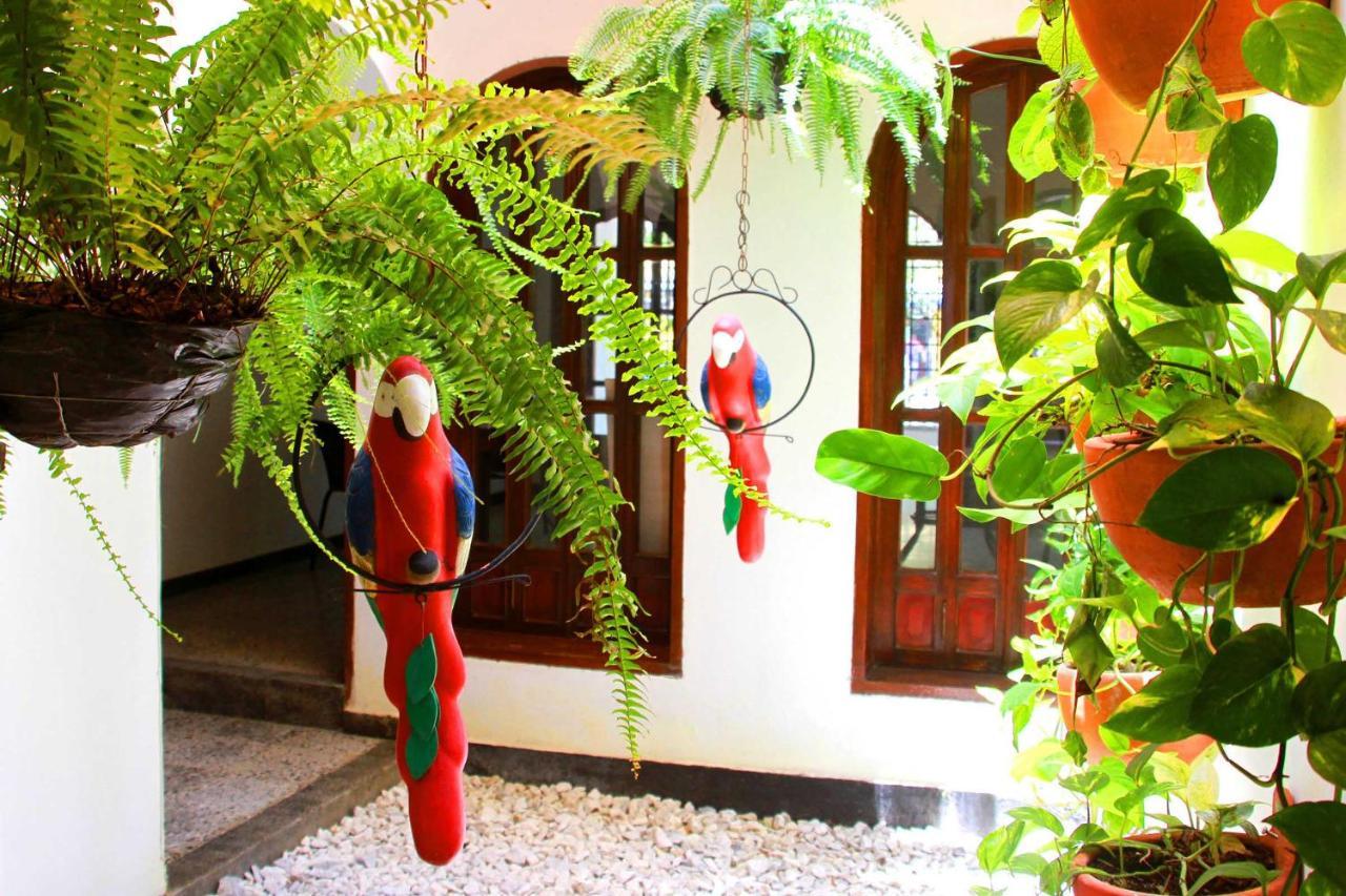 La Guaca Hostel Santa Marta * Santa Marta (Magdalena)